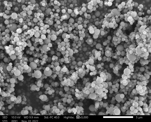 Spherical Silica Powder NSS-D-G700