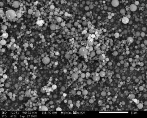 Spherical Silica Powder NSS-D-G500
